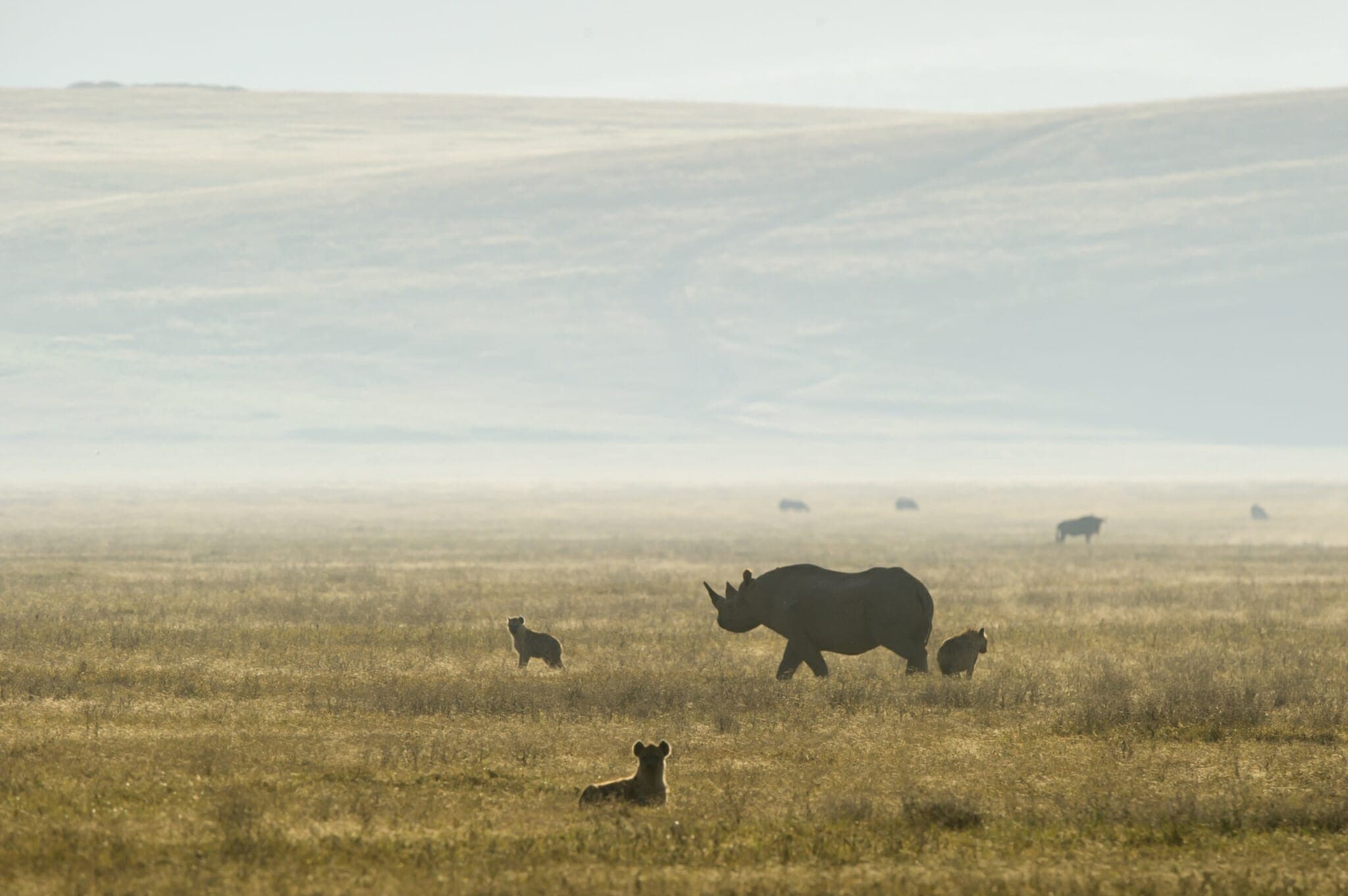 4 lucky people have come back home with a suitcase full of beautiful memories that we will carry with us for life!