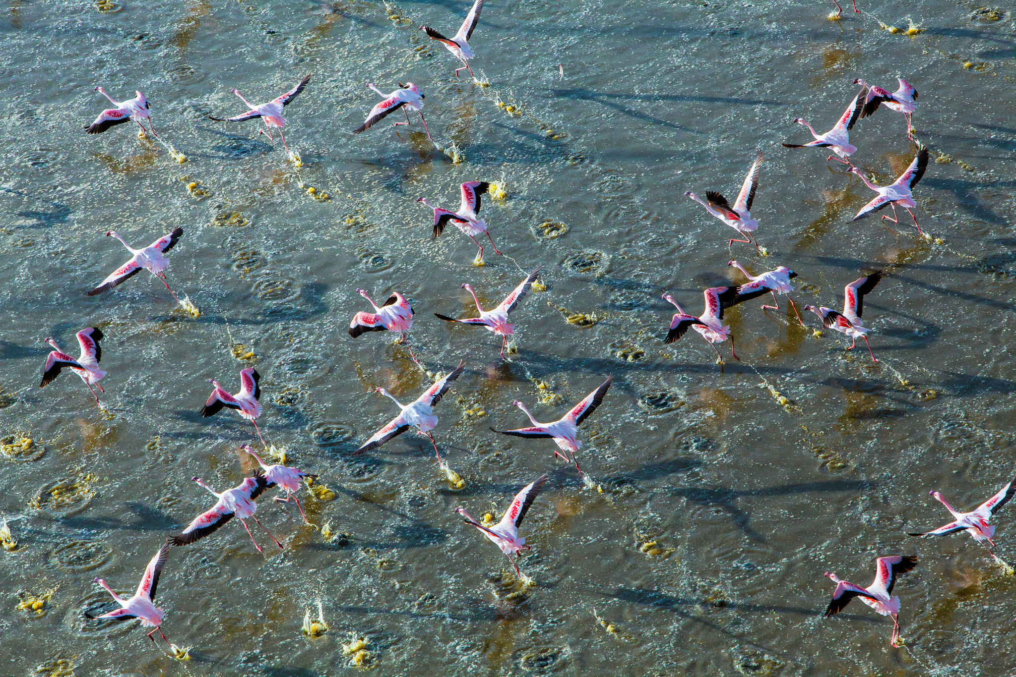 On safari in the southern Serengeti