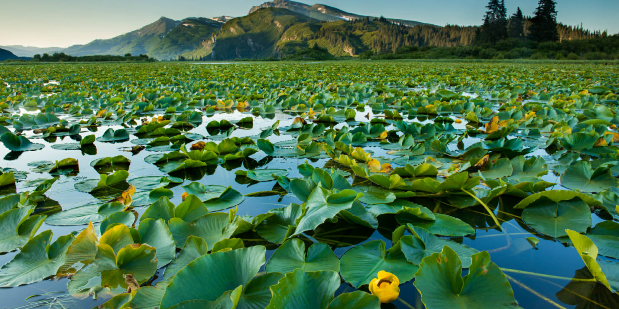 The heart of Alaska | a wilderness lodge retreat