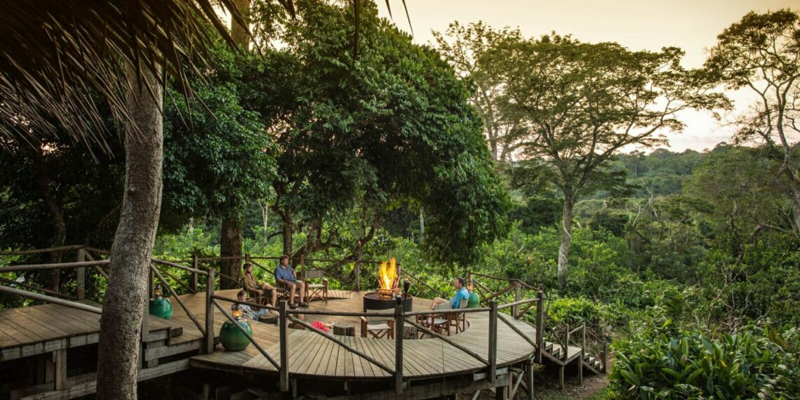 Congo Brazzaville Odzala Discovery Camps