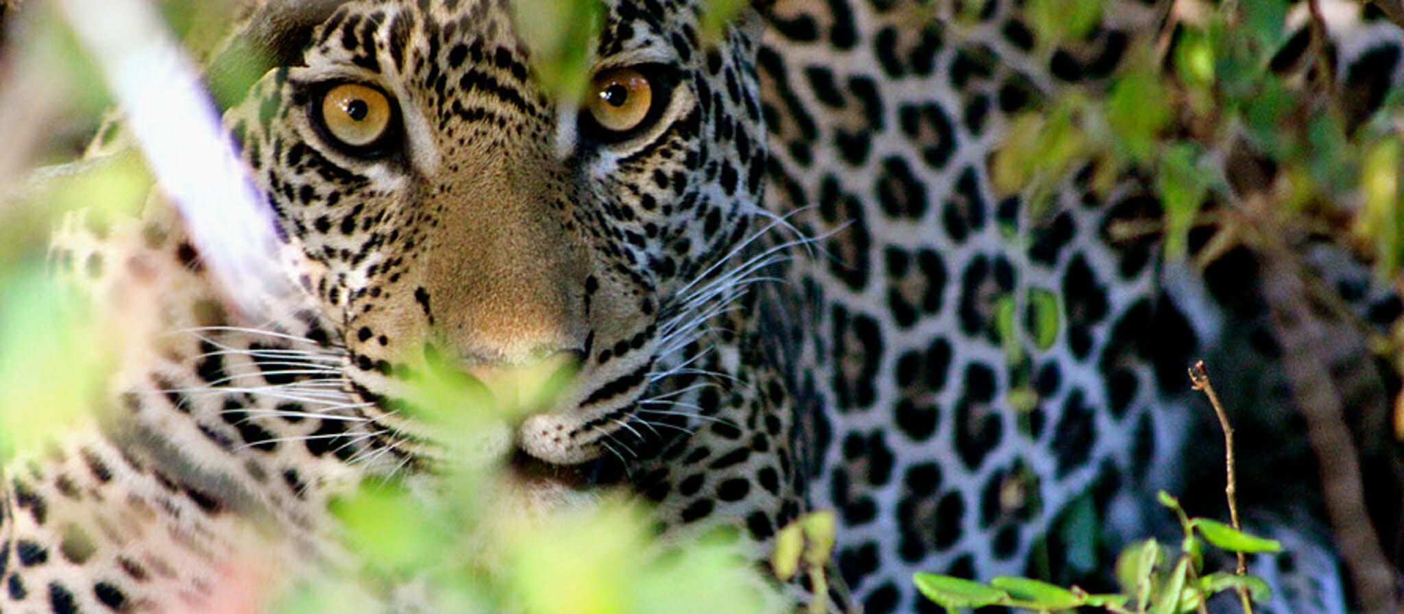 Tour the Southern circuit