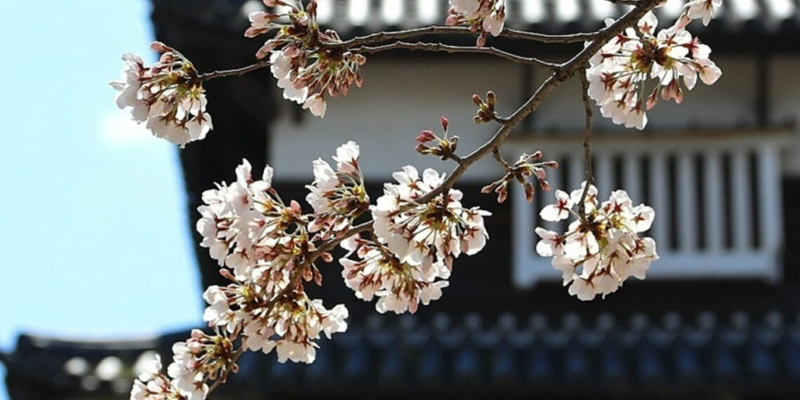 Fascinerend Japan