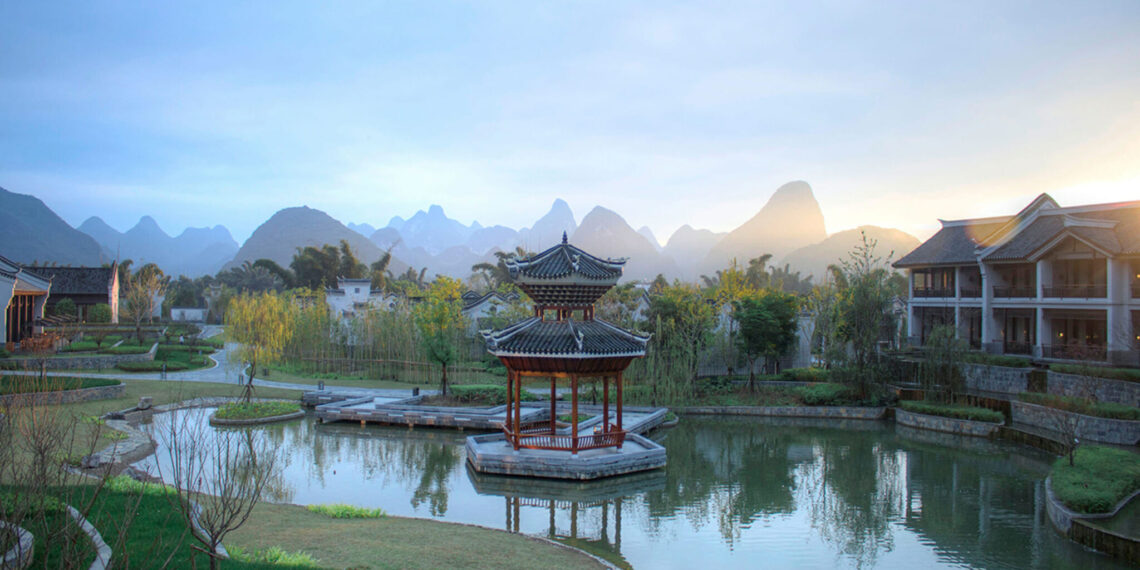 China Banyan Tree Yangshuo