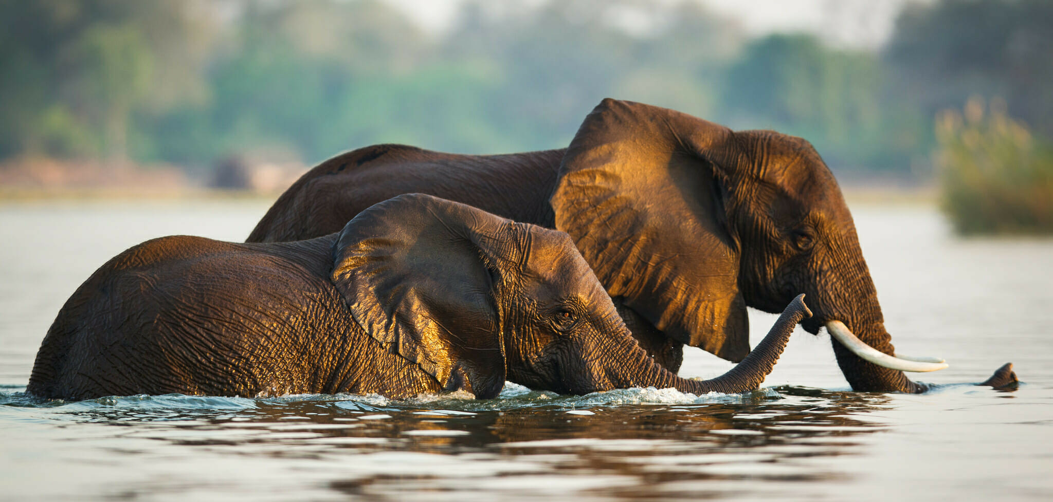 Fly-in Vic Falls & Zimbabwe