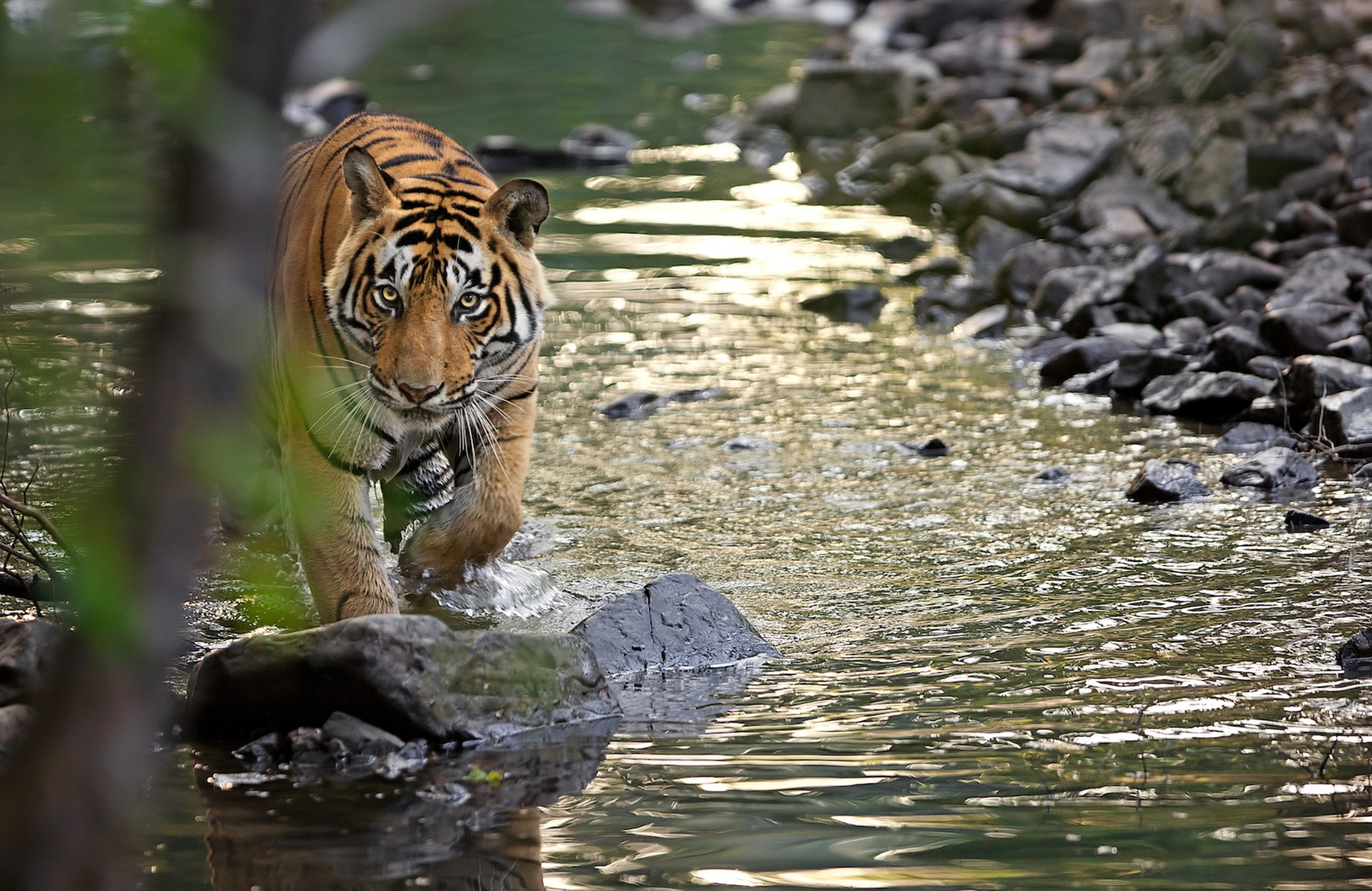 Tour nature parks India