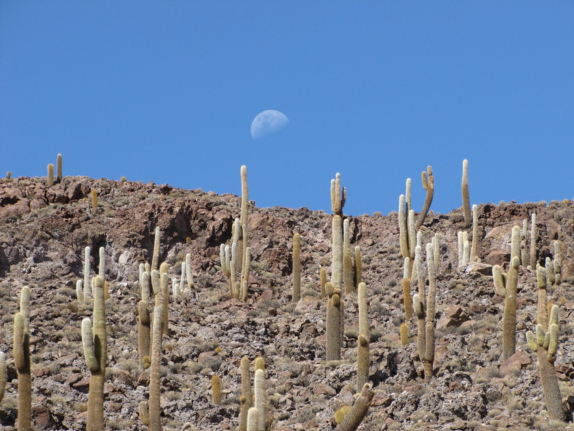 Bolivia Tayka Hotel de Sal