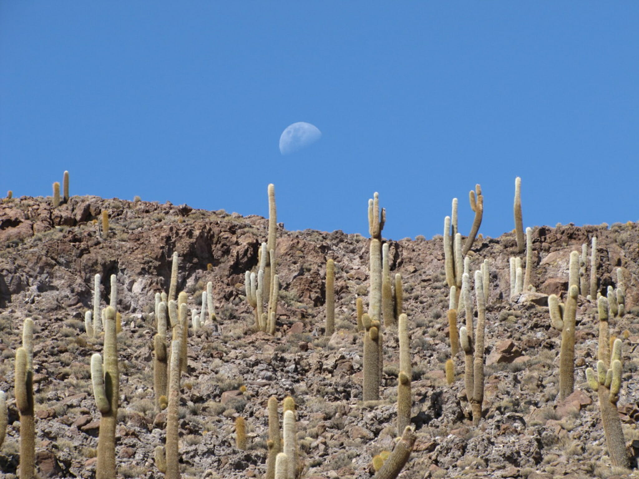 Bolivia Tayka Hotel de Sal