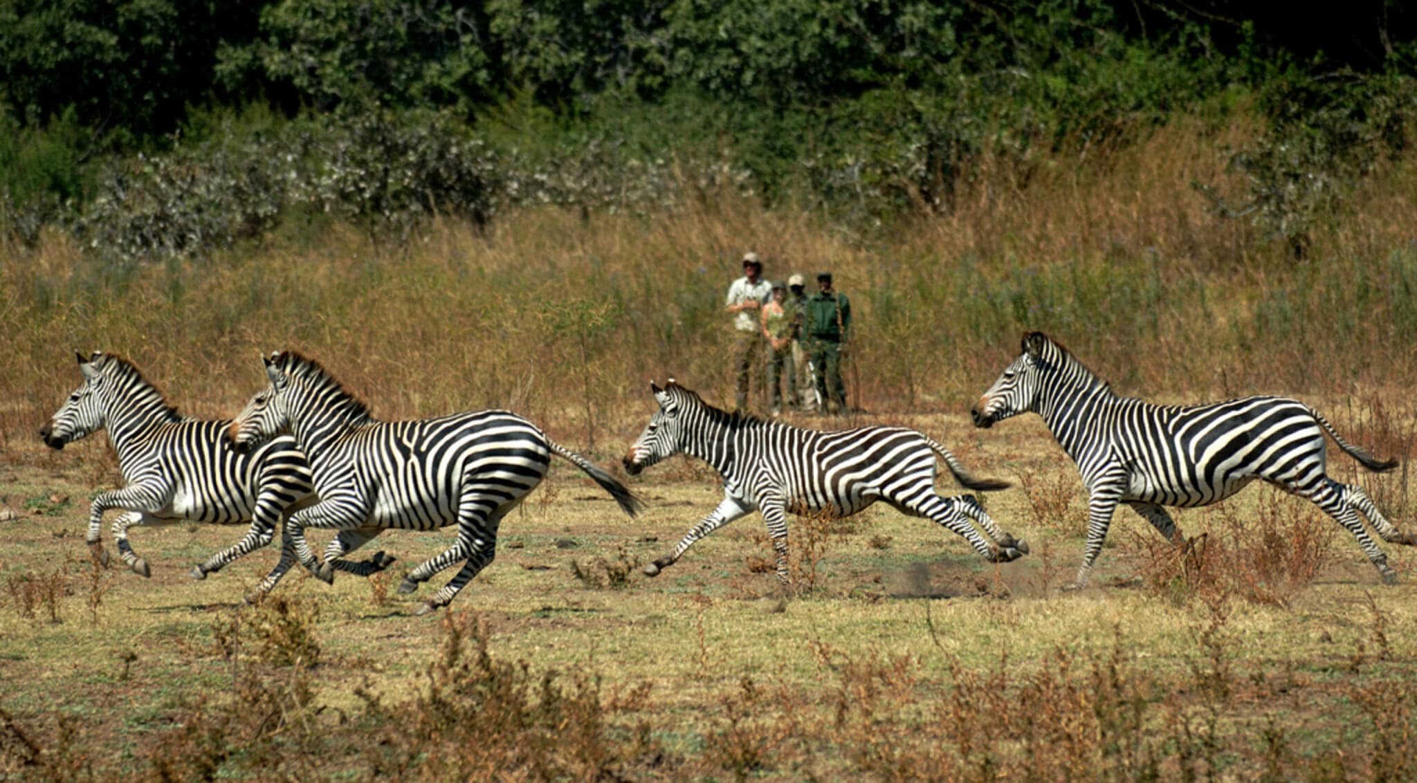 International group tour Zambia & Zimbabwe