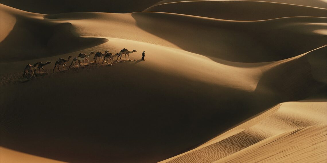 Marokko reizen, woestijn, kamelen