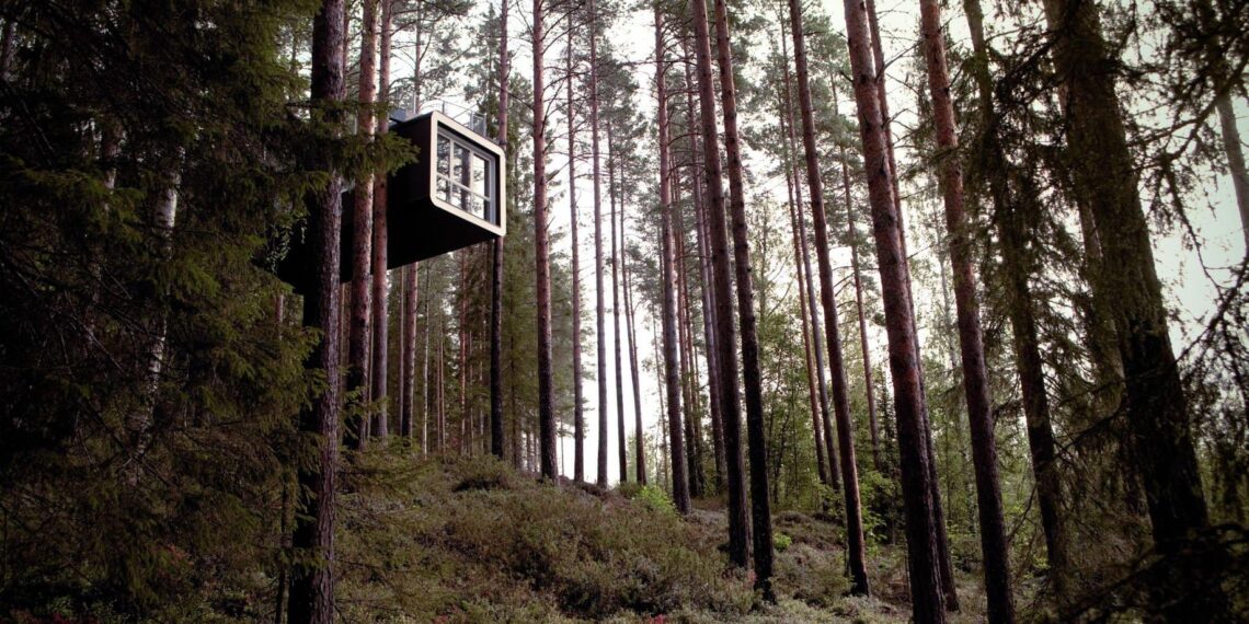Treehotel, Zweden, The Cabin