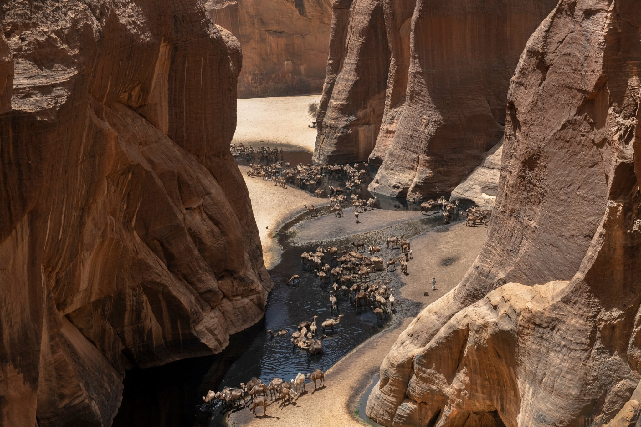 Chad travel,Guelta d'Archei