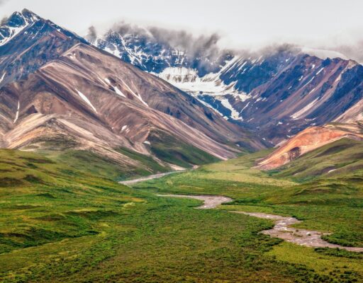 Verenigde Staten reizen, Alaska, Denali NP