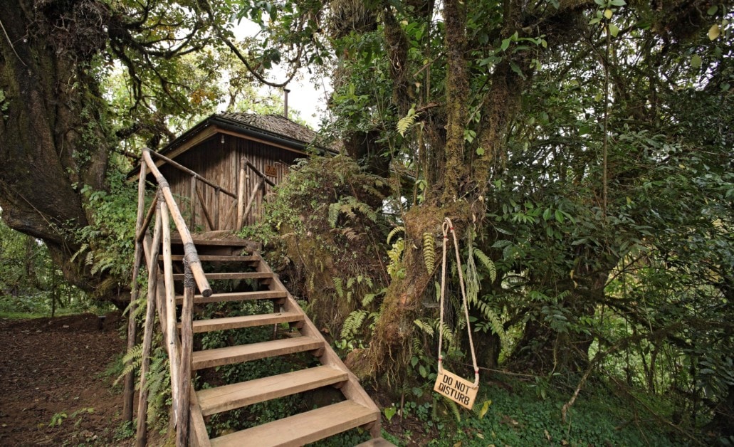 Bale Mountain Lodge, Ethiopia,cottage