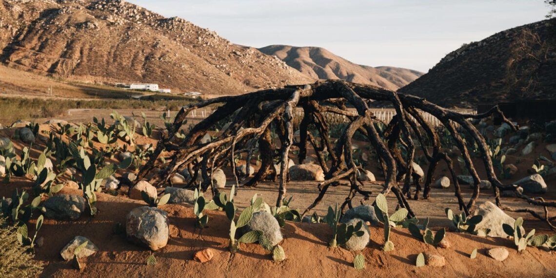 casa 8,Buma ecolodge, Baja California, Mexico