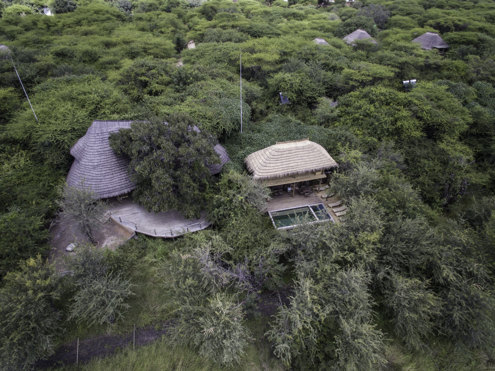Chobe Bakwane, Botswana
