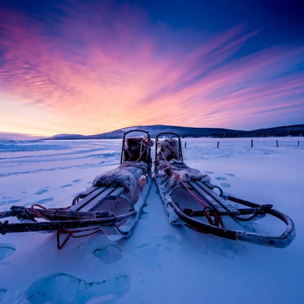 Winterreis in Zweden, Zweden, slede Icehotel