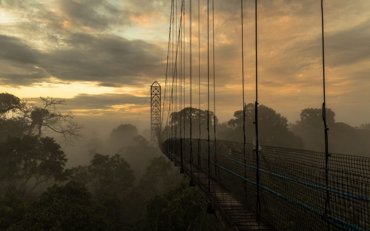Sacha Lodge Yasuni NP Ecuador