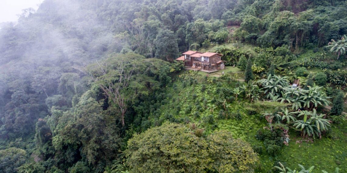Casa Oropendola Colombia