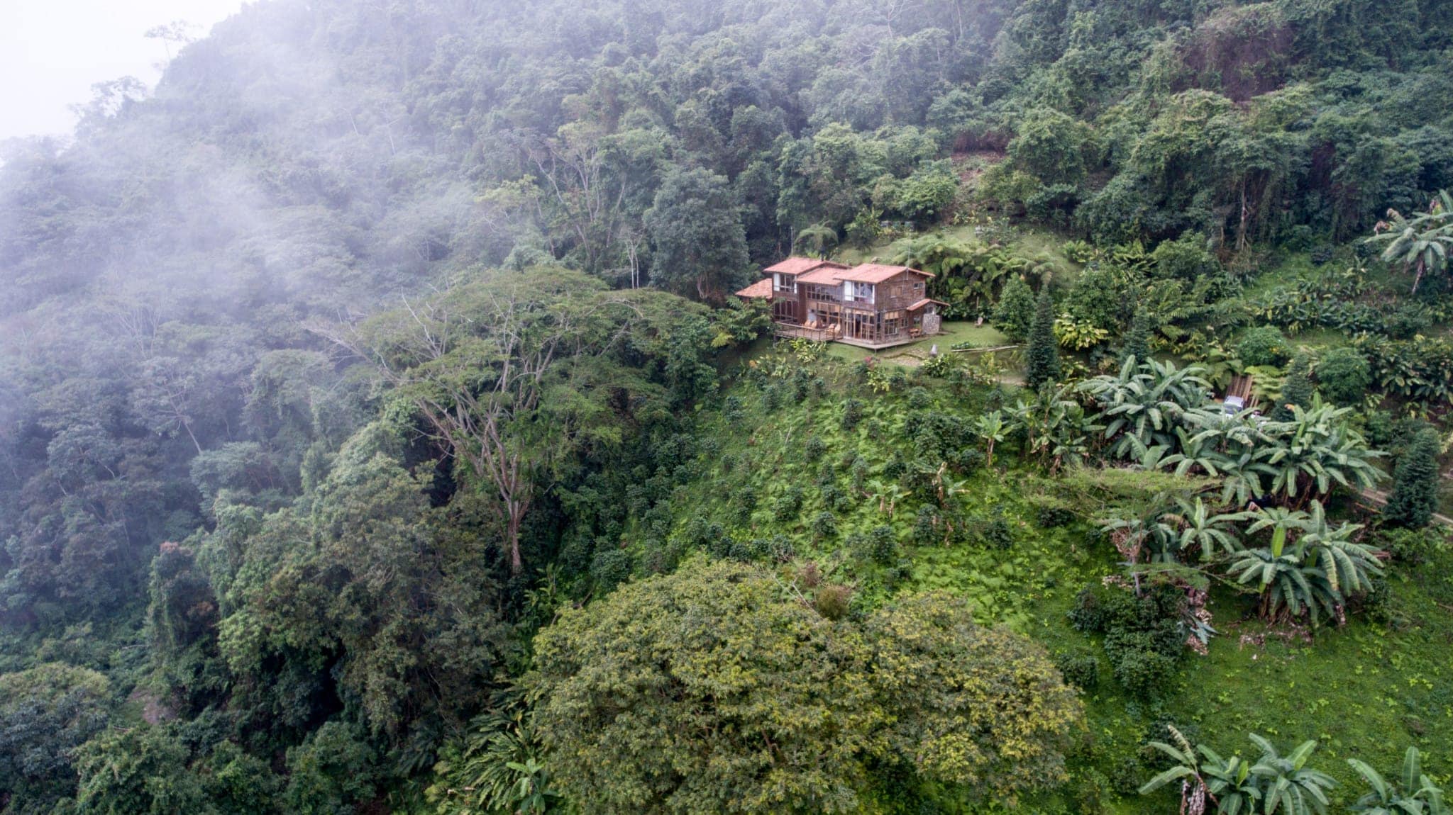 Casa Oropendola Colombia
