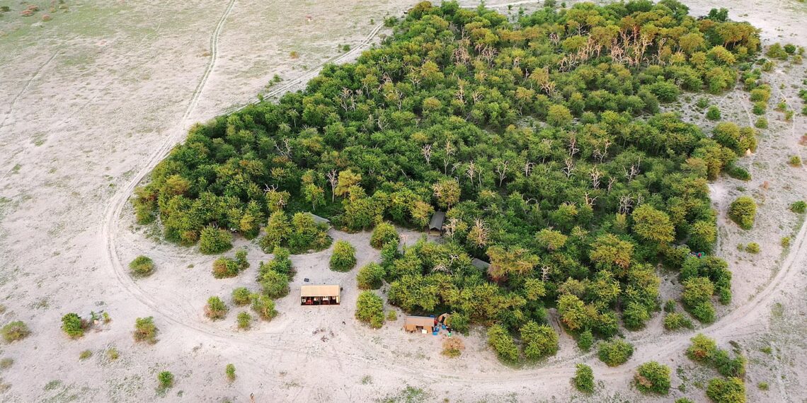 Migration Expeditions in Nxai Pan National Park, Botswana