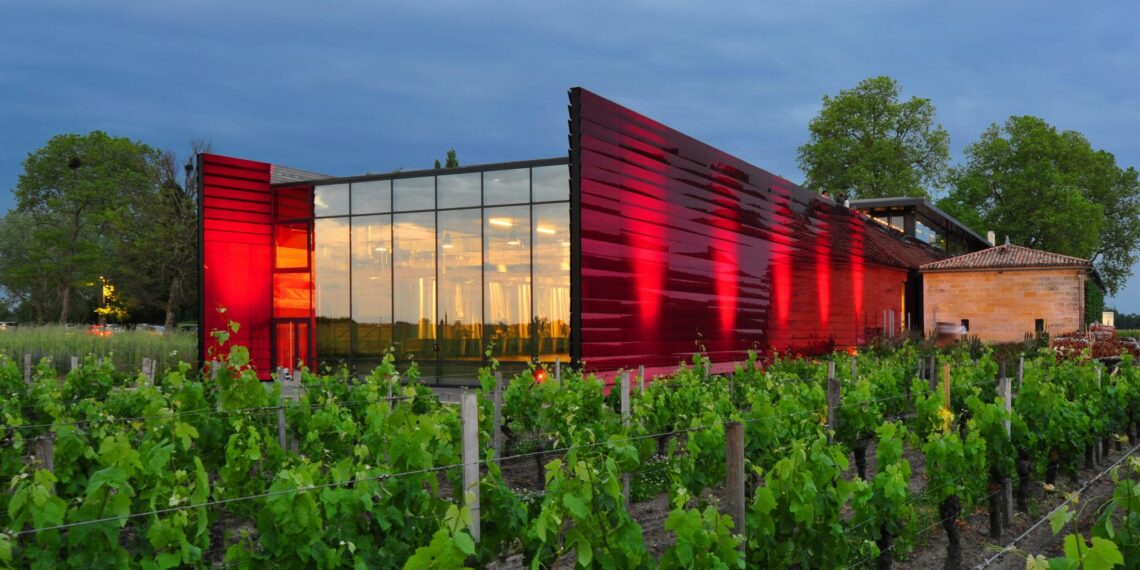 Wijngaarden rondom Saint Emilion, regio Bordeaux