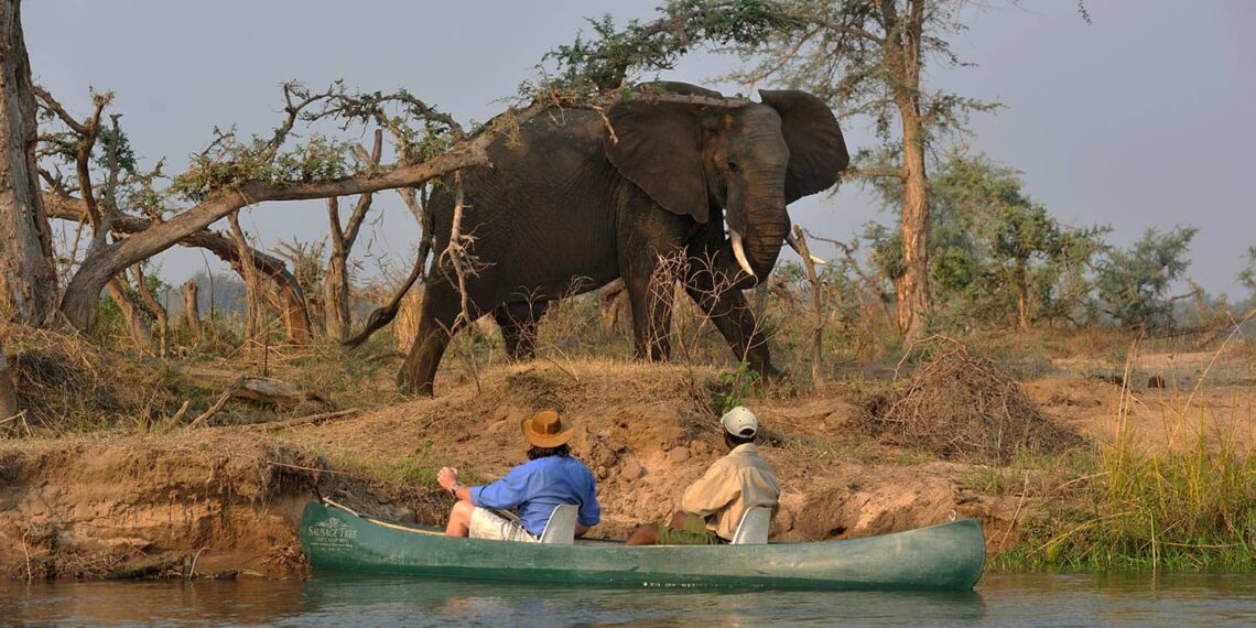 Potato Bush Camp, Lower Zambezi N.P., Zambia