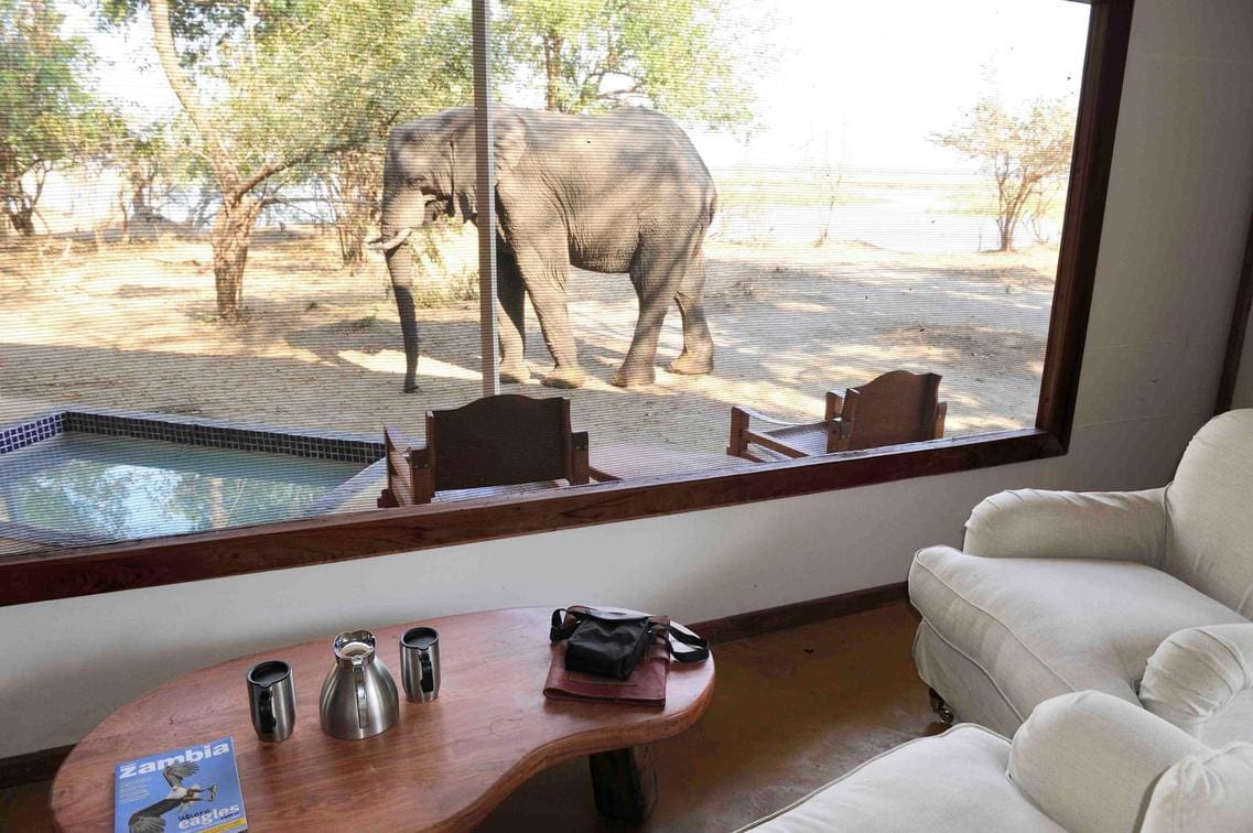 Potato Bush Camp, Lower Zambezi N.P., Zambia