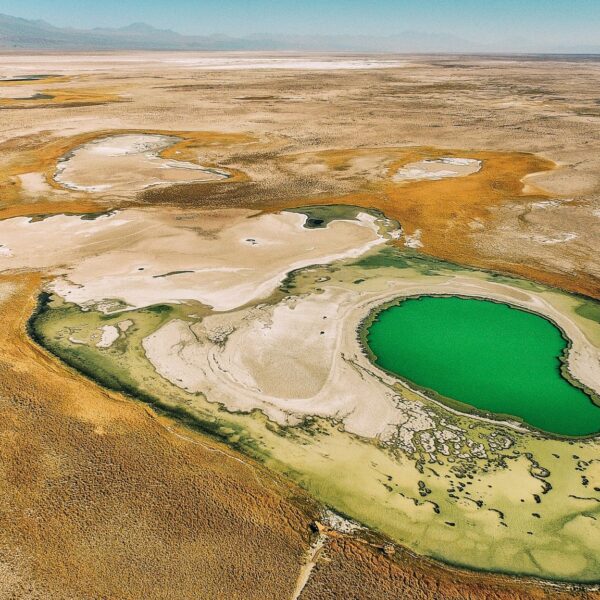 Rondreis Atacama & Patagonië, Atacama, Chili
