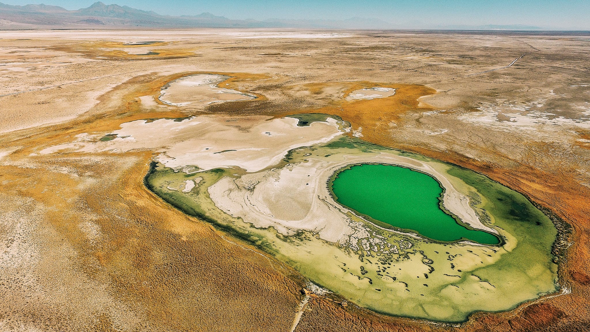 Tour Atacama & Patagonia, Atacama, Chile