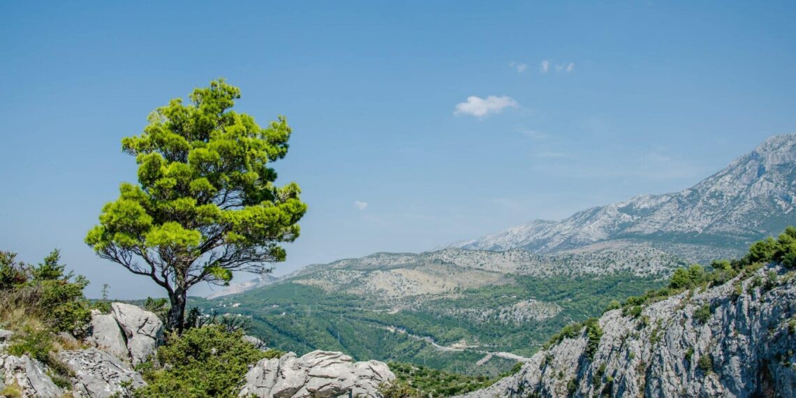 Wandelingen,Kroatië,Omis