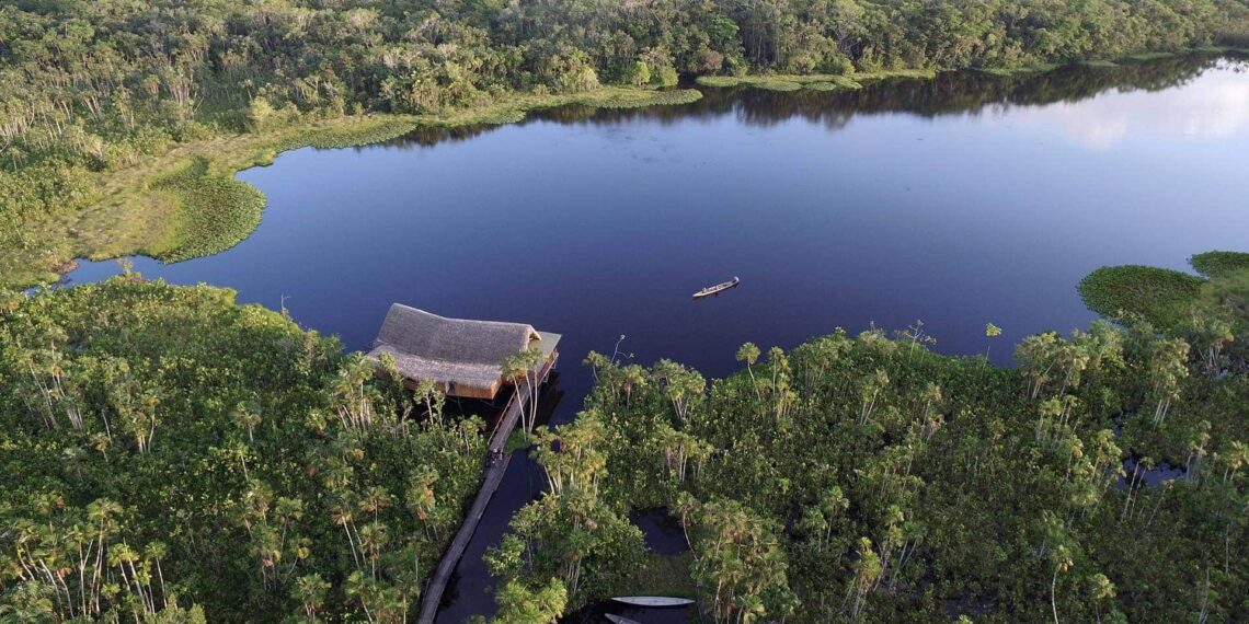 Sacha Lodge Yasuni NP Ecuador