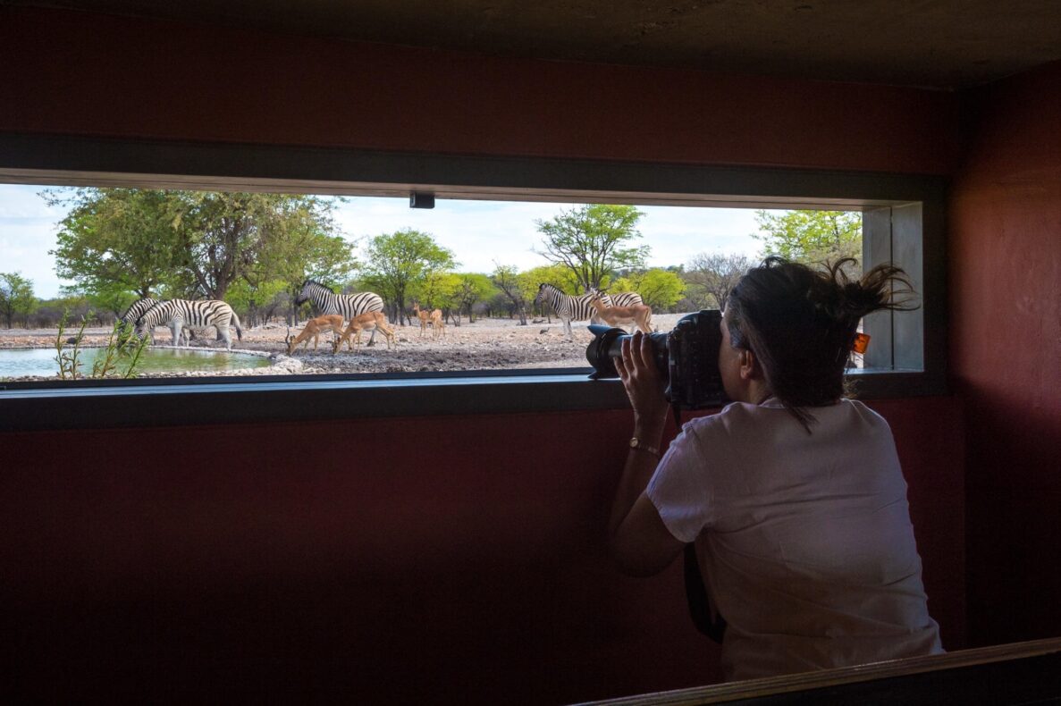 Anderssons at Ongava,Namibië, hide