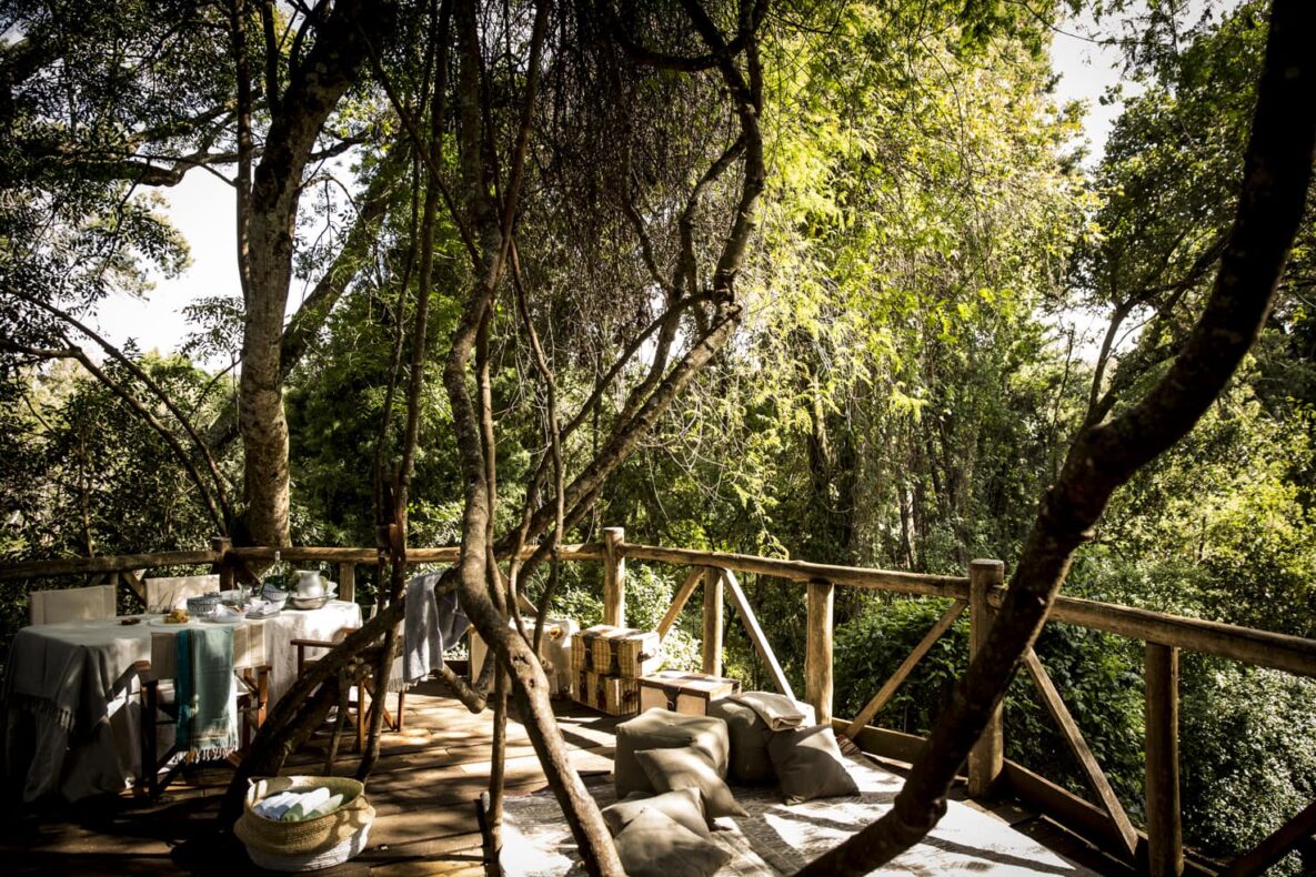 Arijiju, Kenia, CrookesAndJackson, terras