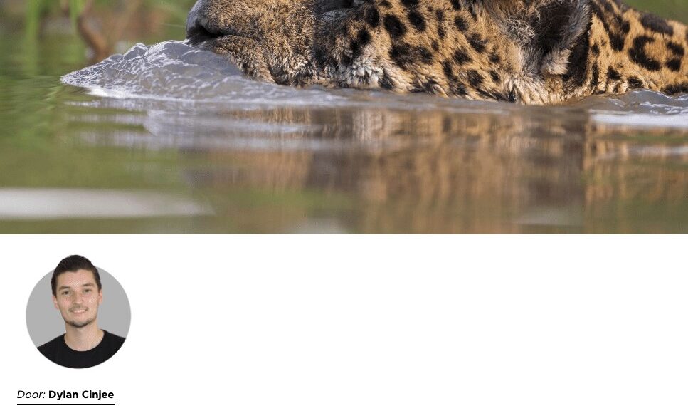 In de media - Samenwerking UT met TUI