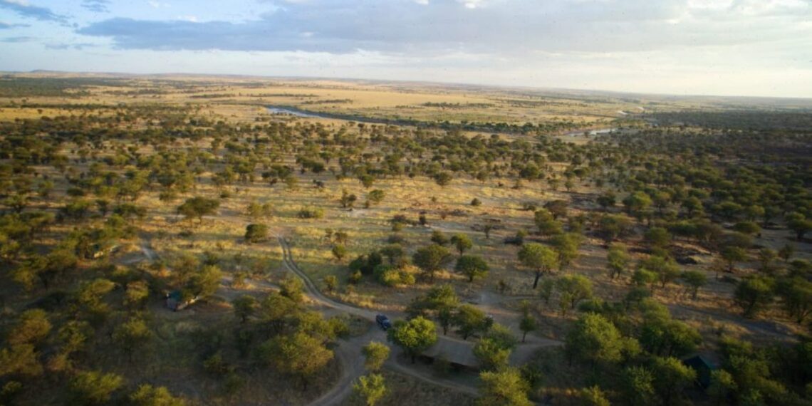 Serians Serengeti Lamai Camp,Tanzania,gebied
