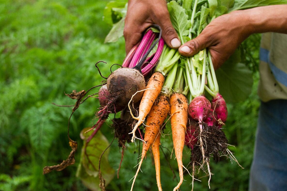 Morgan's Rock Haciënda & Ecolodge, Nicaragua, beach