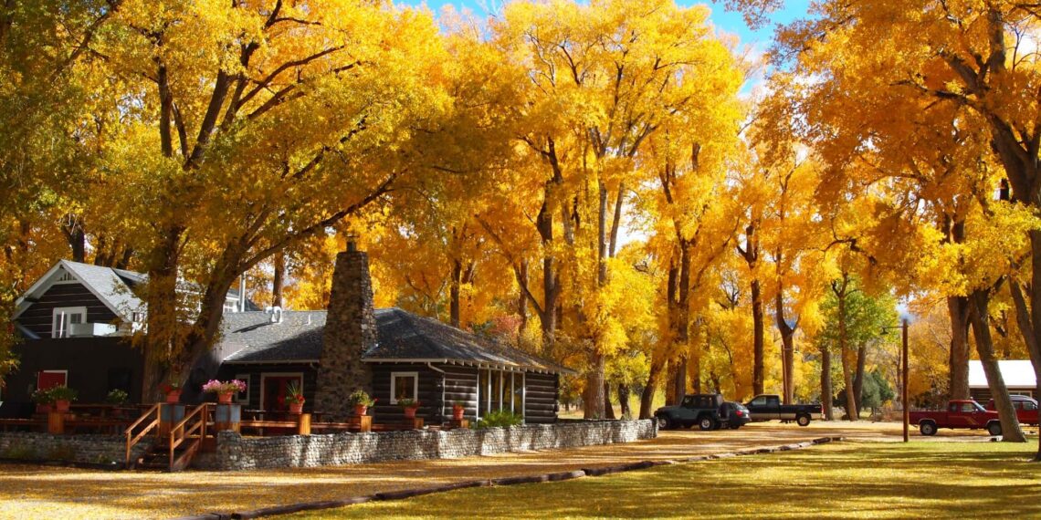 Zapata Ranch, Colorado, USA