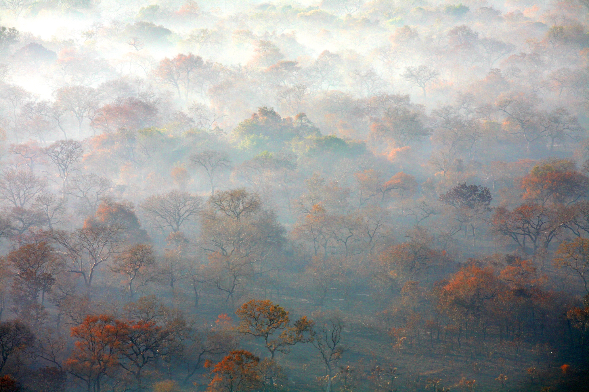 Gorongosa Lodge Safari, Mozambique, plain