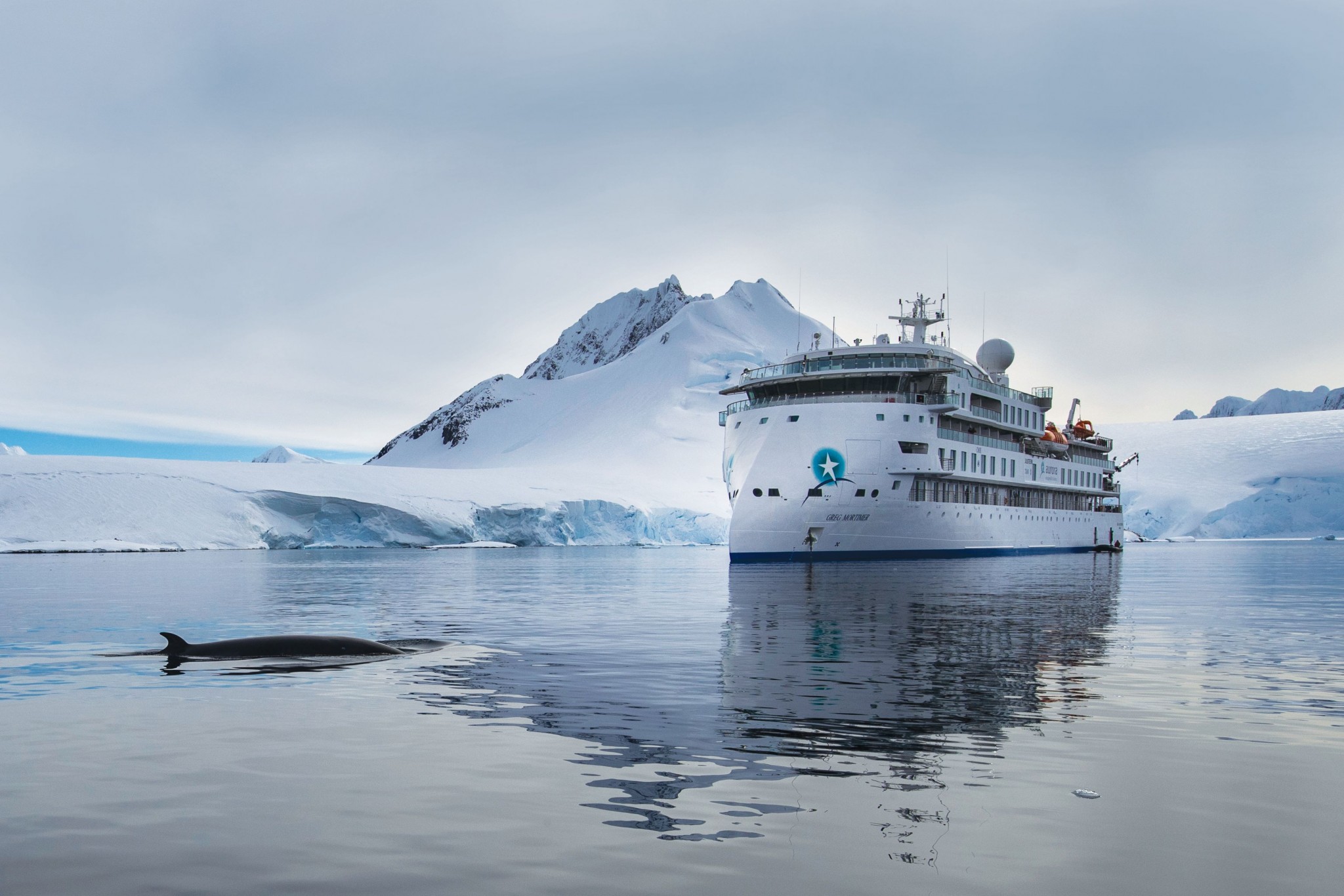 Antarctica, Greg Mortimer Expedition Ship