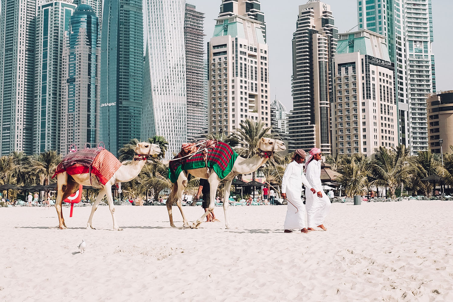 Dubai - Untamed Travelling