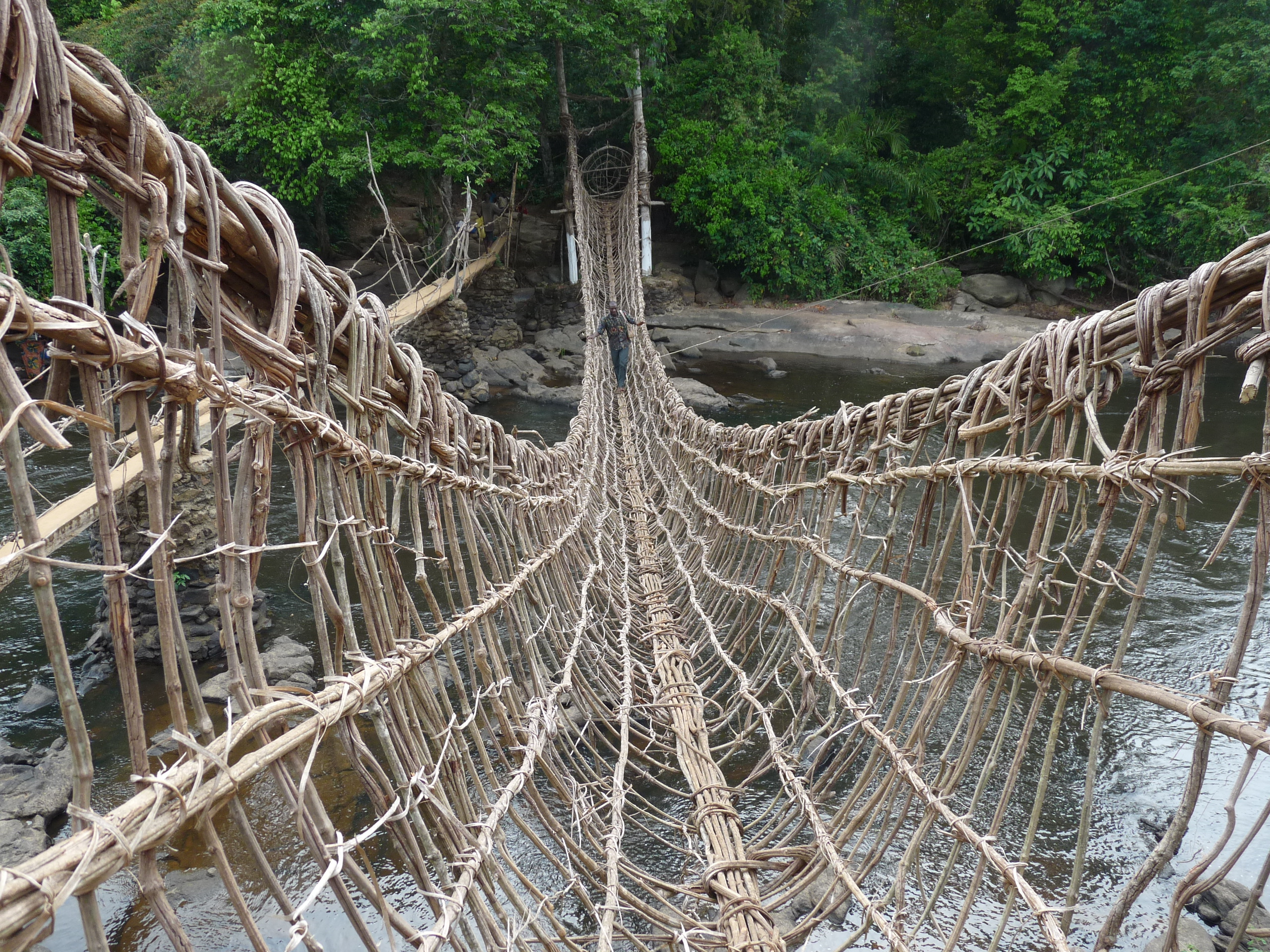 Ivory Coast, Lieupleu liana bridge, Cavally river