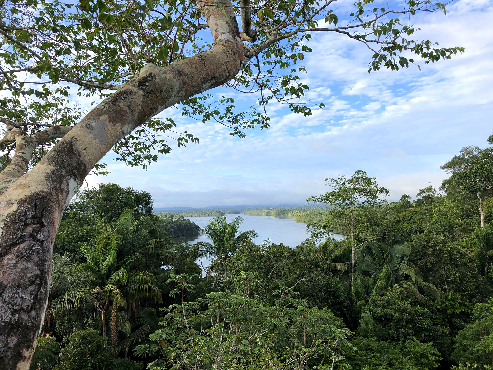 SouthWild Amazon Lodge, Brazil