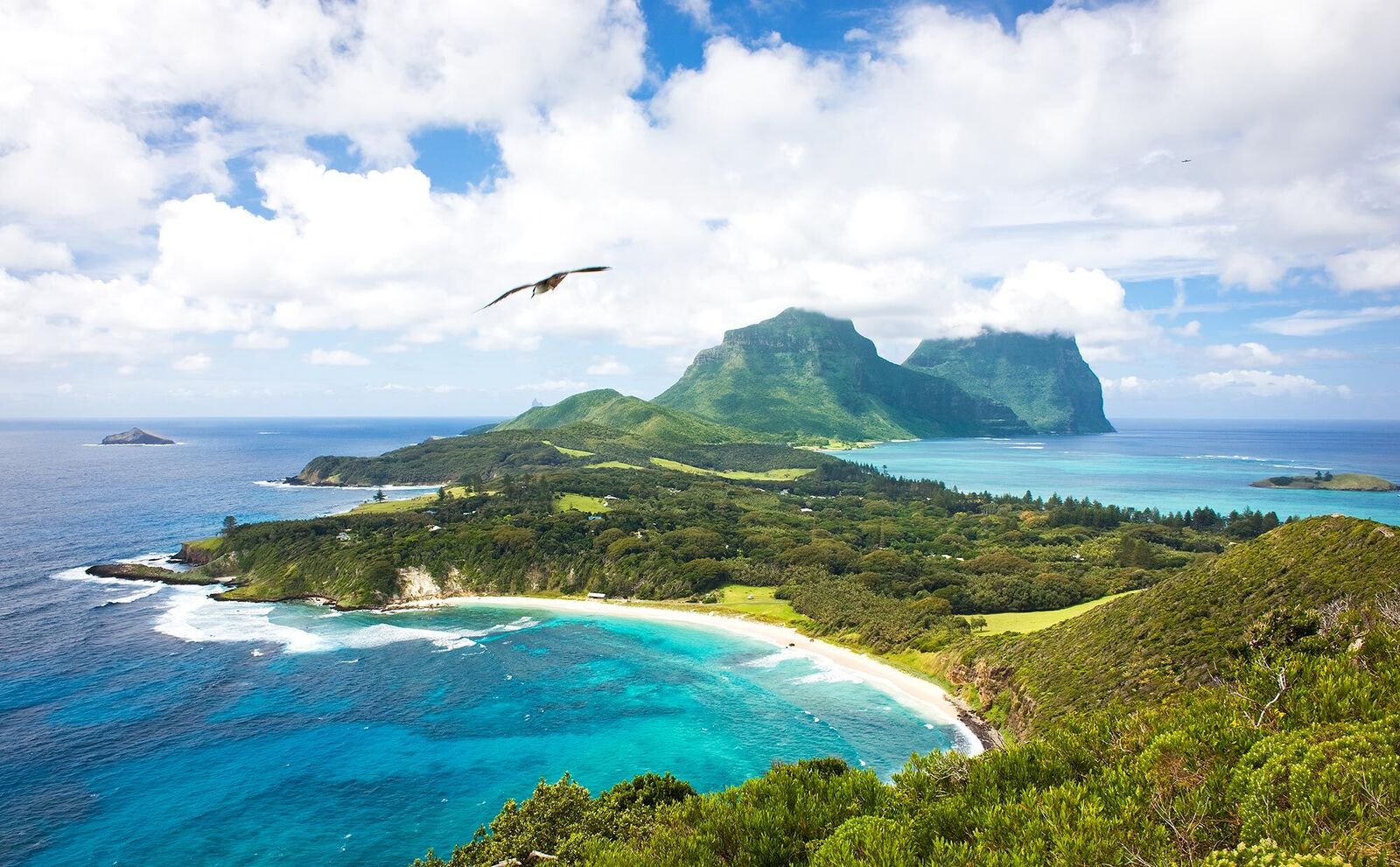 Howe Island,Australië,landschapsfoto met vogel