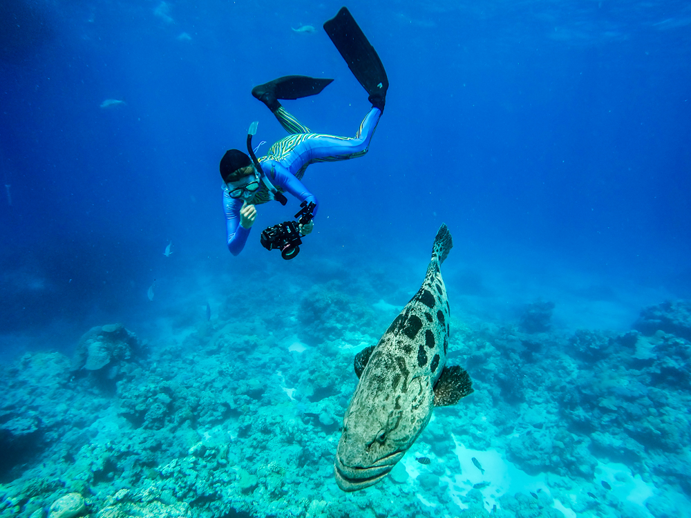 Lizard Island Lodge,Australië,duik met vis