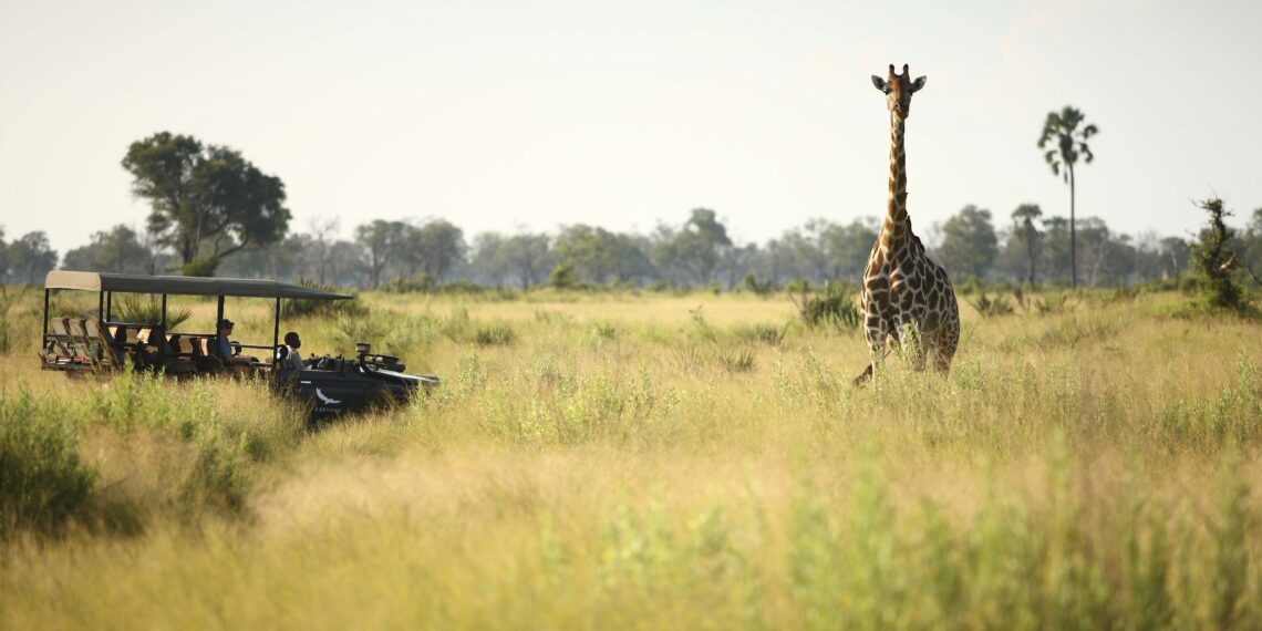 Klantervaring Pieter en Ellen,Botswana,gamedrive Nxabega