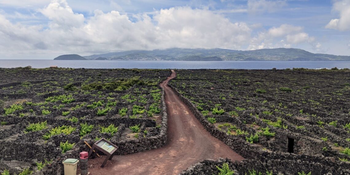 Klantervaring Danielle en Rolf,Portugal,Pico Azoren