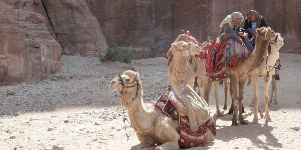 Klantervaring Jyoti en Suzanne,Jordanië,kamelen