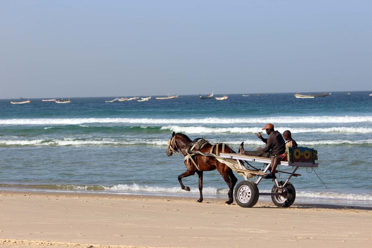 Klantervaring Boudewijn en reisgenoten,Senegal,zee met paardenkar