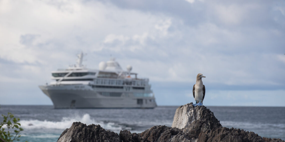 Silver Origin Galapagos