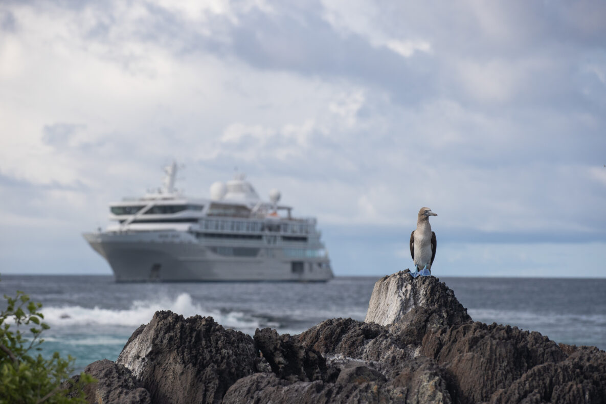 Silver Origin Galapagos